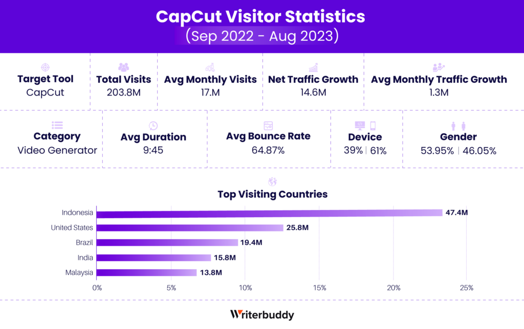 CapCut Visitor Statistics